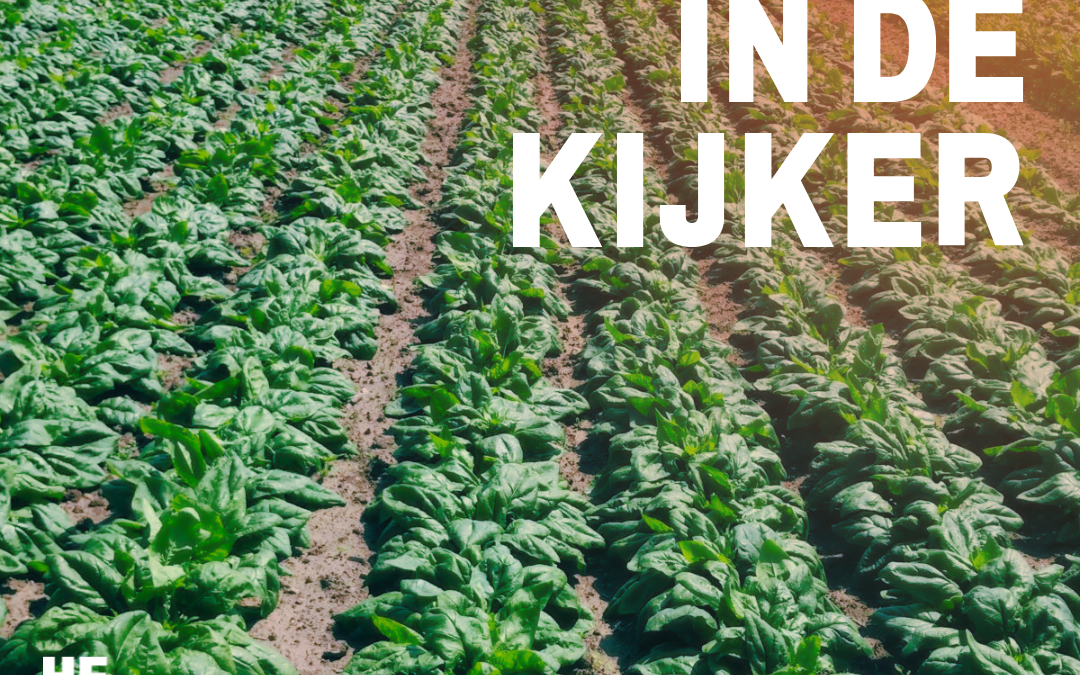 Project in de kijker: Fieldlab Seedshift