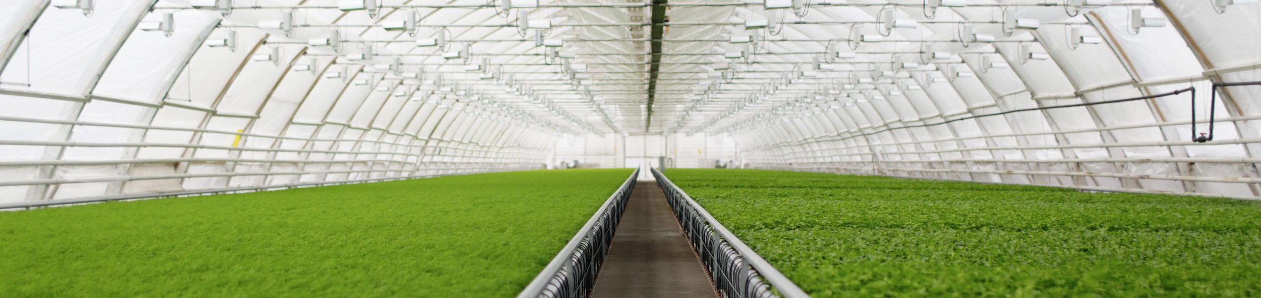 biomimicry natuur innovatie
